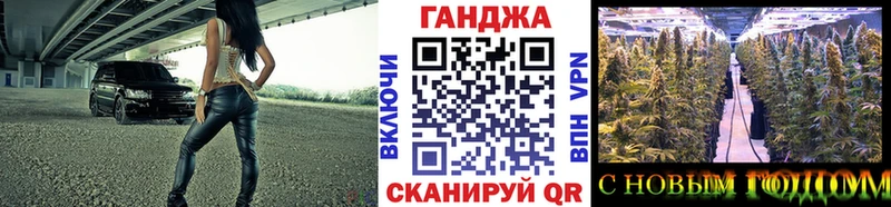 как найти наркотики  Починок  Каннабис SATIVA & INDICA 